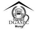 logo_dgaspc_grey