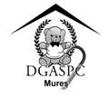 logo_dgaspc_grey