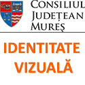 identitate_vizuala